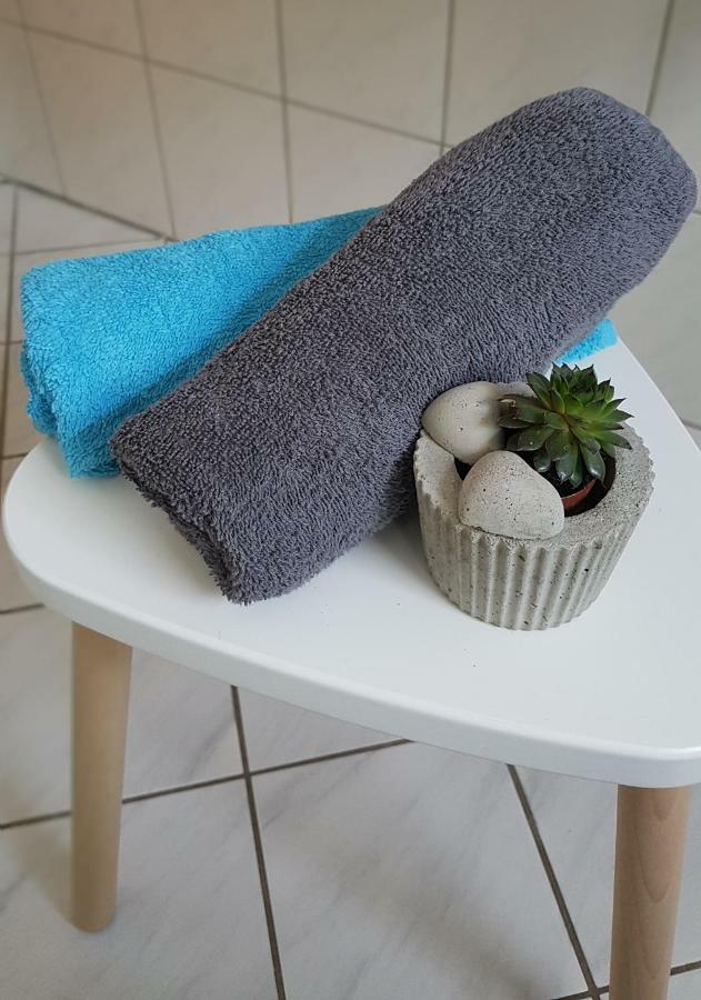 Naehe Mainz - Ferienwohnung - Apartment Breivogel In Wörrstadt Extérieur photo