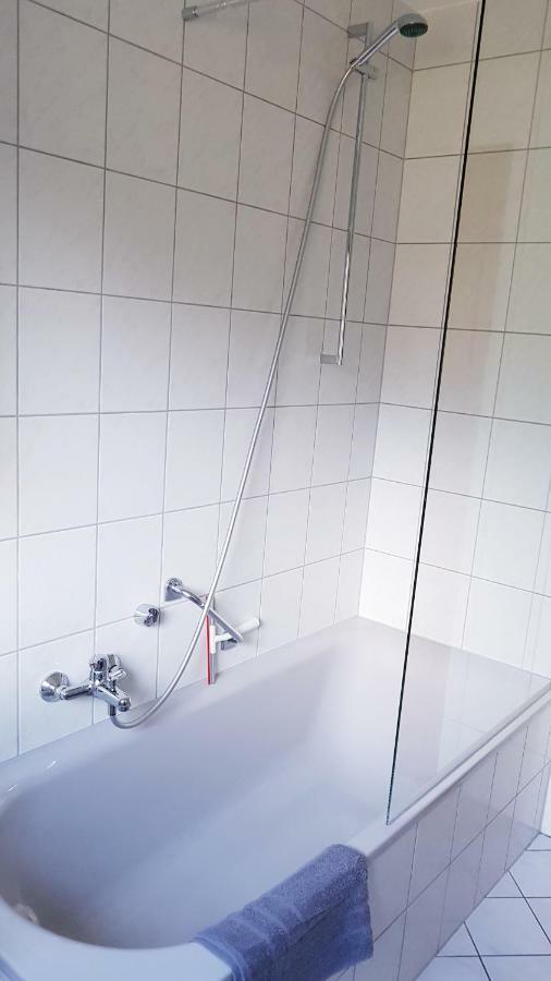 Naehe Mainz - Ferienwohnung - Apartment Breivogel In Wörrstadt Extérieur photo